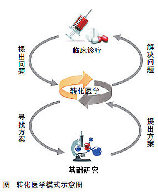 转化医学（科学术语）