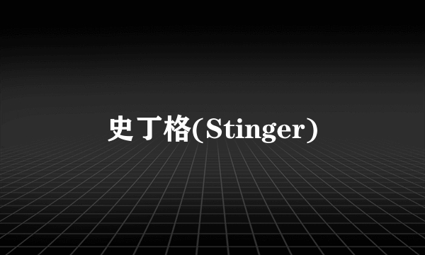 史丁格(Stinger)