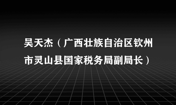 吴天杰（广西壮族自治区钦州市灵山县国家税务局副局长）