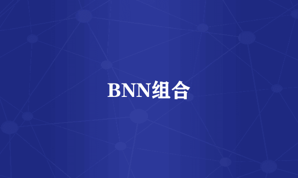 BNN组合