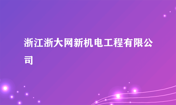 浙江浙大网新机电工程有限公司