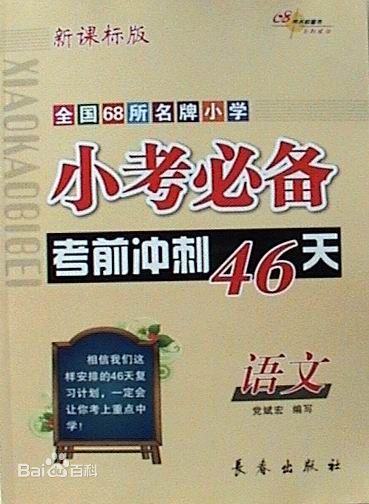 小考必备考前冲刺46天语文