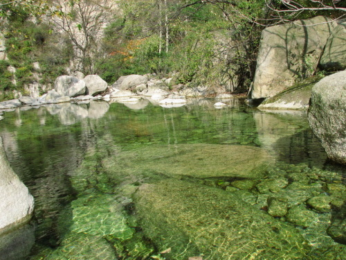 金岩沟