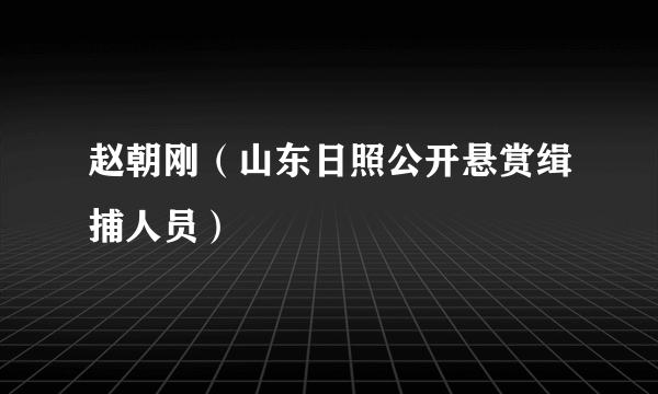 赵朝刚（山东日照公开悬赏缉捕人员）