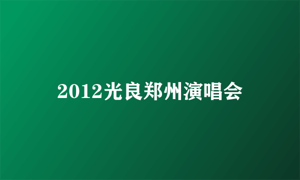 2012光良郑州演唱会