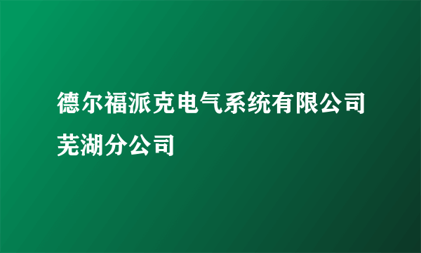 德尔福派克电气系统有限公司芜湖分公司