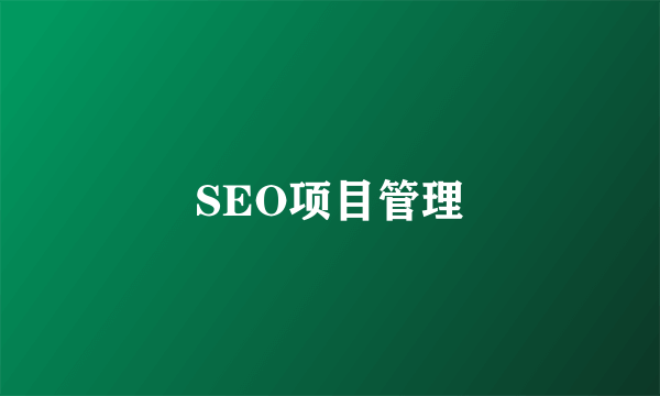 SEO项目管理