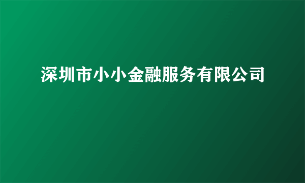 深圳市小小金融服务有限公司