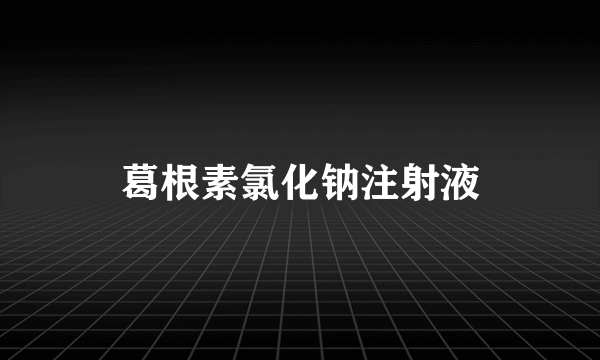 葛根素氯化钠注射液