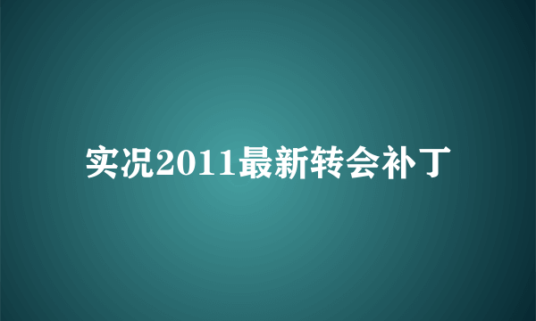 实况2011最新转会补丁