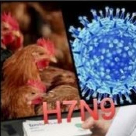 H7N9疫苗