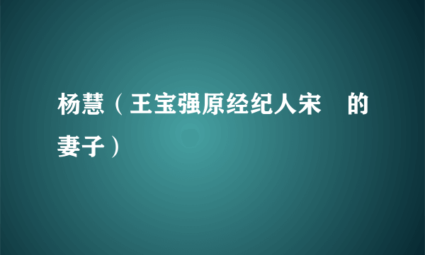 杨慧（王宝强原经纪人宋喆的妻子）