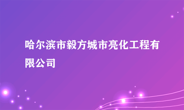 哈尔滨市毅方城市亮化工程有限公司