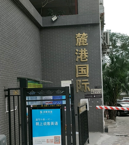 麓港国际