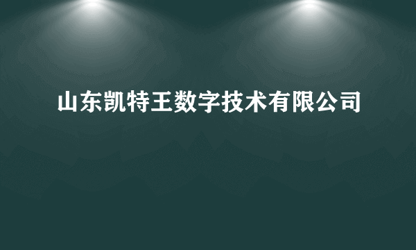 山东凯特王数字技术有限公司