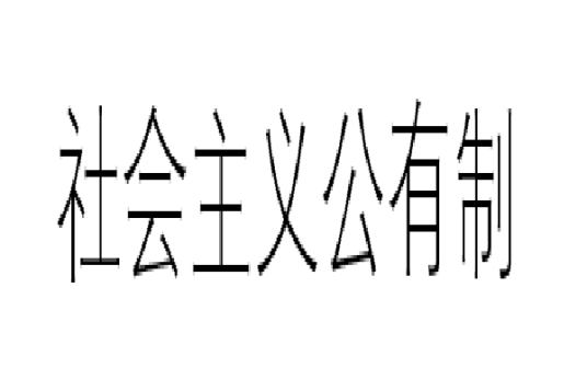 社会主义公有制