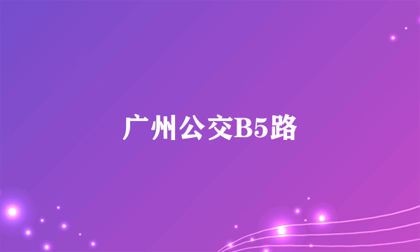 广州公交B5路