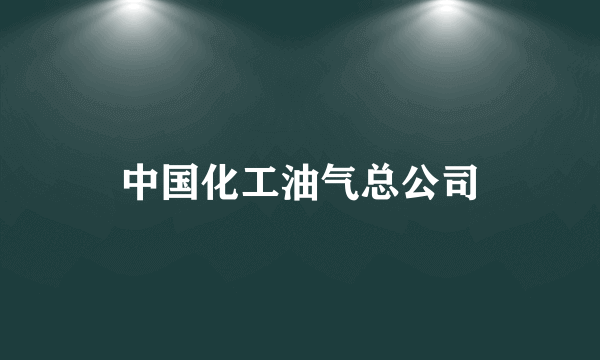 中国化工油气总公司