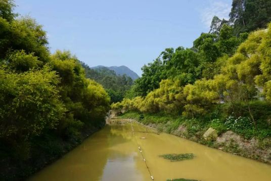 九道谷漂流风景旅游度假区