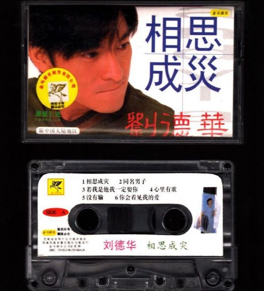 相思成灾（1996年刘德华音乐专辑）