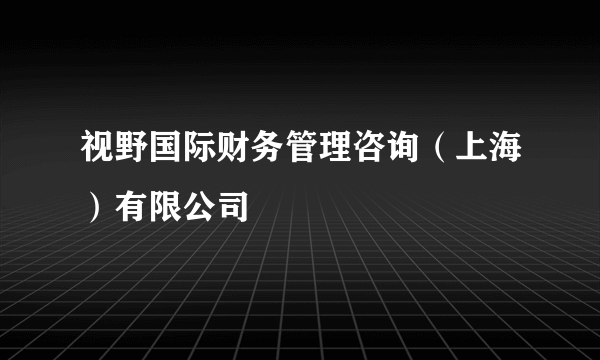 视野国际财务管理咨询（上海）有限公司