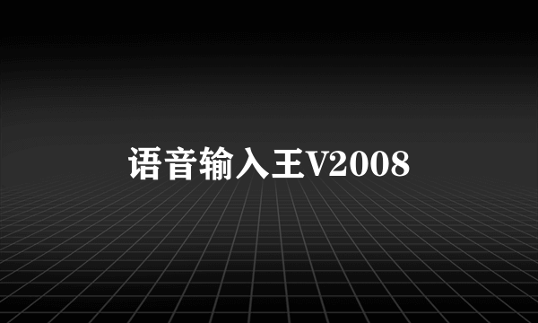 语音输入王V2008