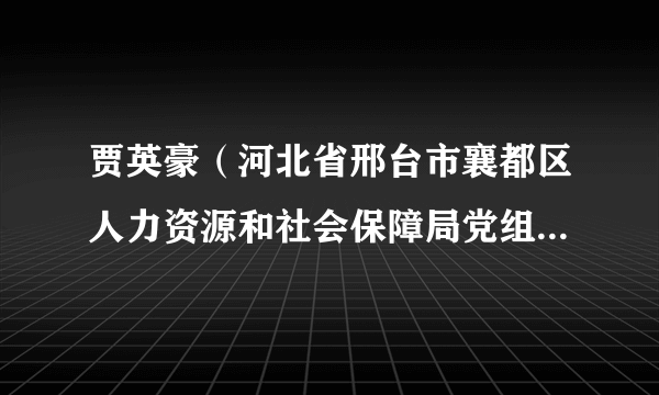 贾英豪（河北省邢台市襄都区人力资源和社会保障局党组书记、局长）