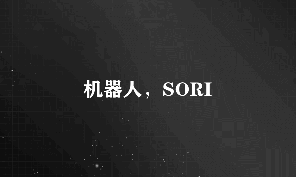 机器人，SORI