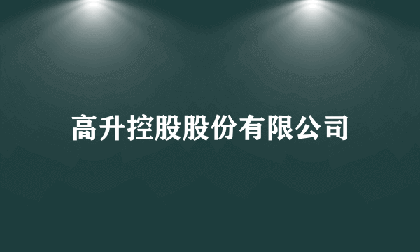 高升控股股份有限公司