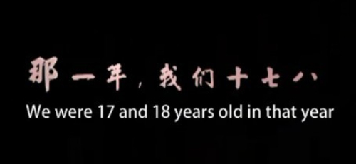 那一年，我们十七八岁（2011年薄开飞执导电影）