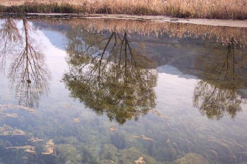 法城自然生态风景区