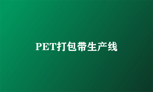 PET打包带生产线