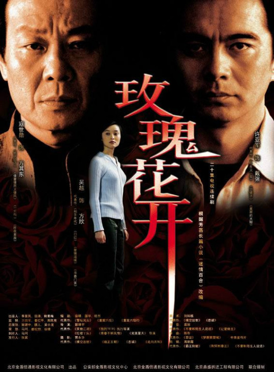 玫瑰花开（2004年郭靖宇执导电视剧）