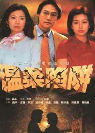 温柔陷阱（2001年向北执导的电视剧）