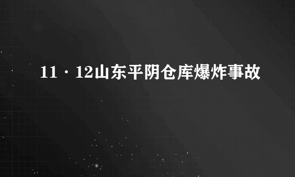 11·12山东平阴仓库爆炸事故