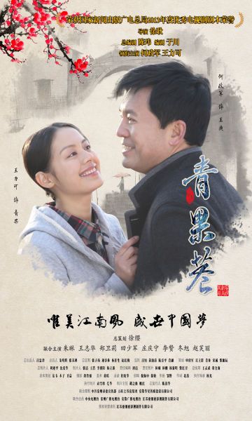 青果巷（2014年何政军主演电视剧）