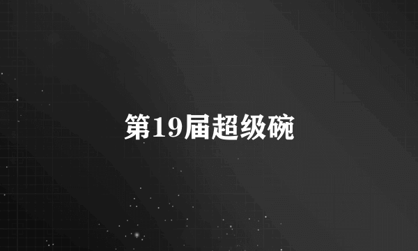 第19届超级碗