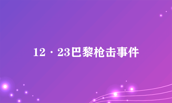 12·23巴黎枪击事件