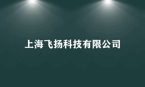 上海飞扬科技有限公司