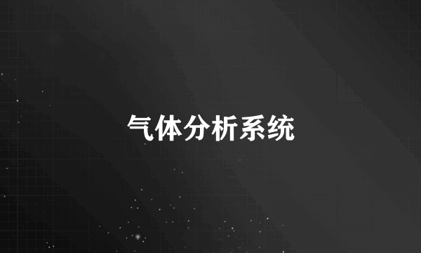 气体分析系统