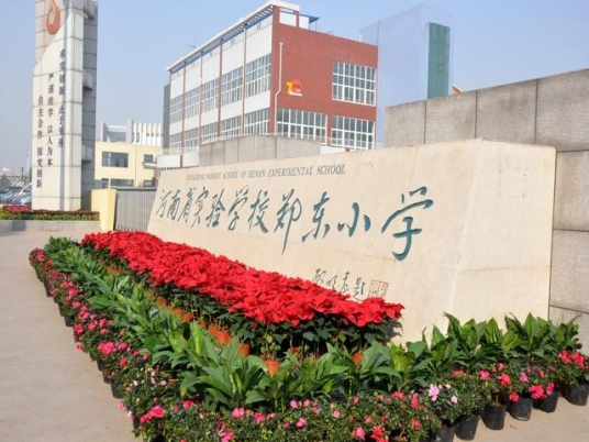 河南省实验学校郑东小学