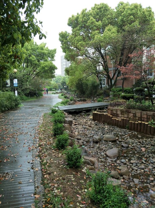 凤凰街道（广东省深圳市光明区下辖街道）