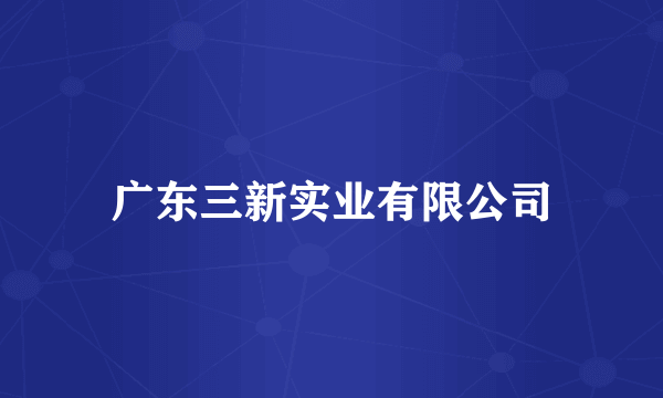 广东三新实业有限公司