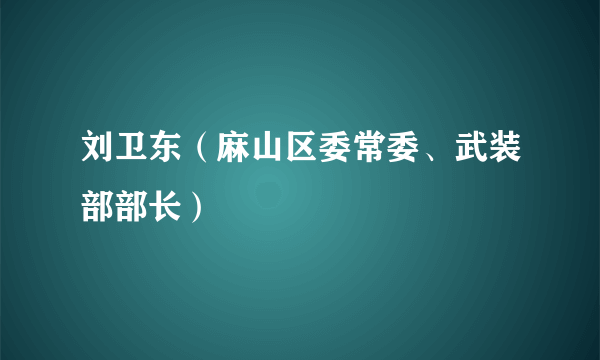 刘卫东（麻山区委常委、武装部部长）