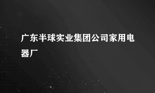 广东半球实业集团公司家用电器厂