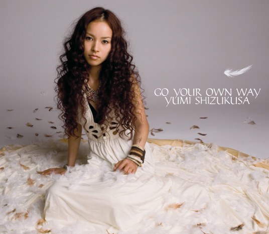 GO YOUR OWN WAY（2011年日本歌手滴草由实演唱歌曲）