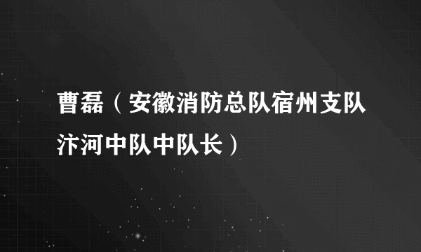 曹磊（安徽消防总队宿州支队汴河中队中队长）