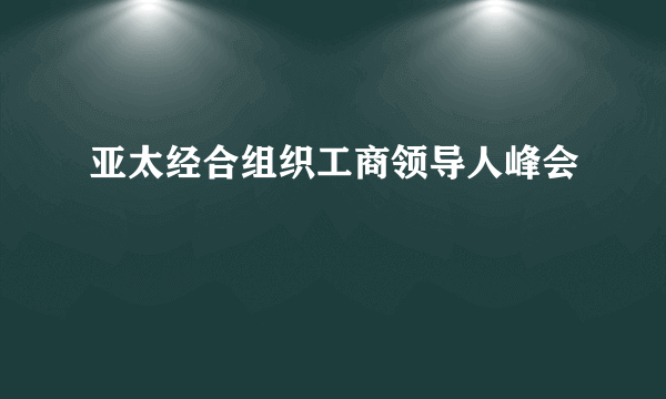 亚太经合组织工商领导人峰会