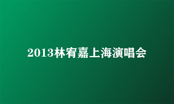 2013林宥嘉上海演唱会