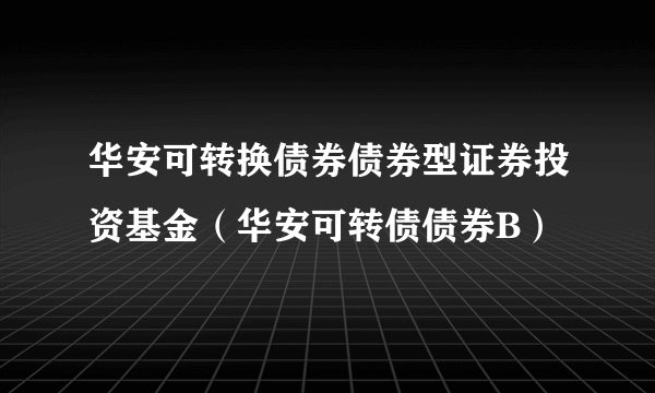 华安可转换债券债券型证券投资基金（华安可转债债券B）